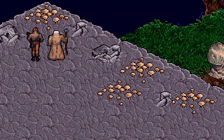 Beren and Mythran stare into the flooded waters