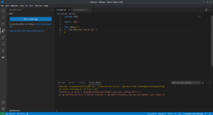 Getting Started with the Go Programming Language (GoLang) using VS Code ...
