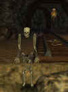 skeletons.jpg (14553 bytes)